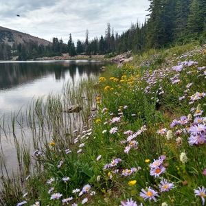 Meet your Posher, Vanja